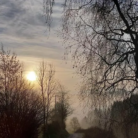 Ferienwohnung Im Hambach Bad Berleburg Buitenkant foto