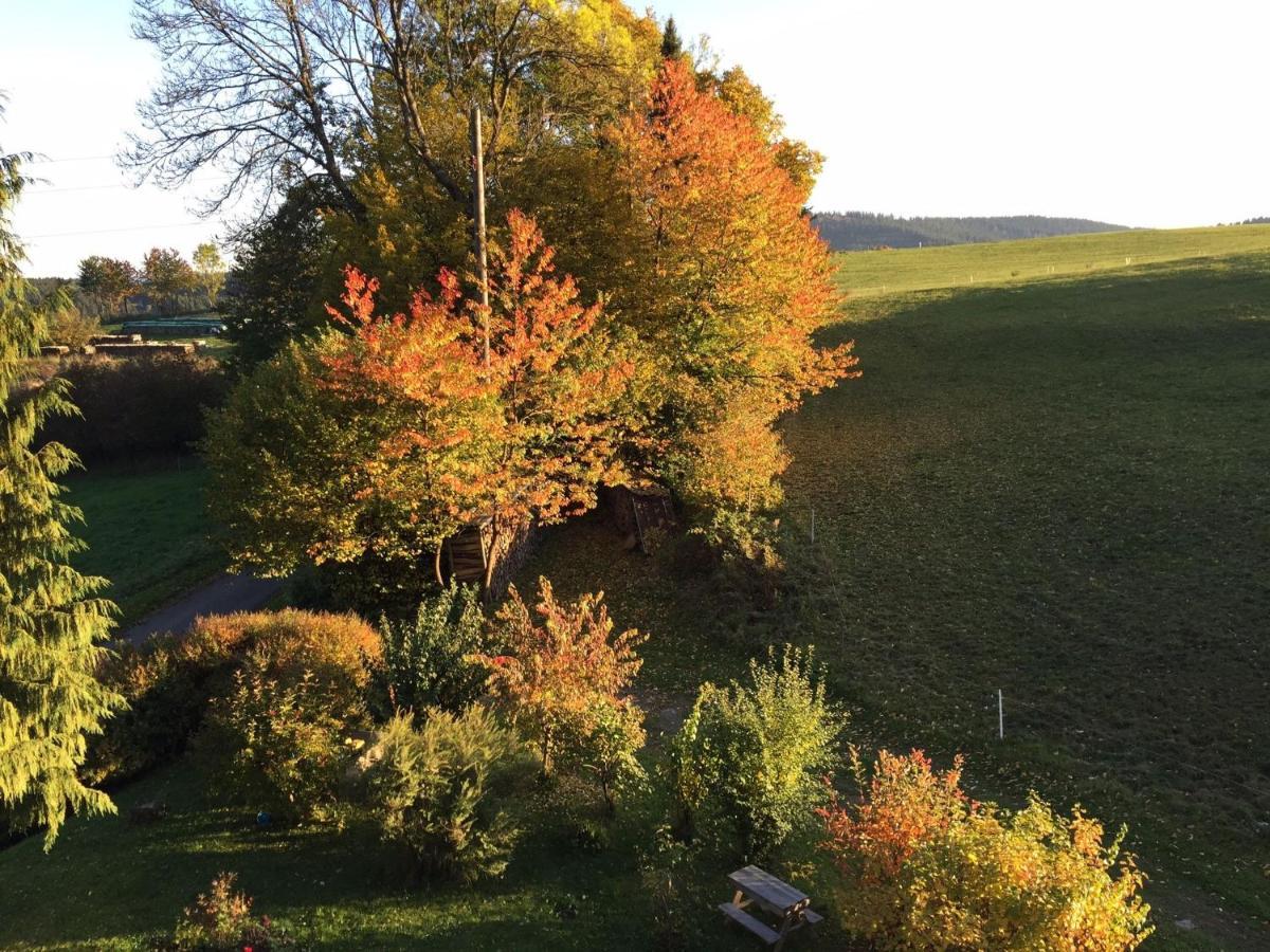 Im Hambach * Bad Berleburg
